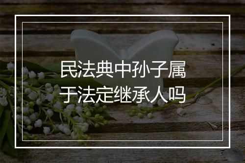 民法典中孙子属于法定继承人吗
