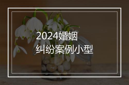 2024婚姻纠纷案例小型