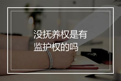 没抚养权是有监护权的吗