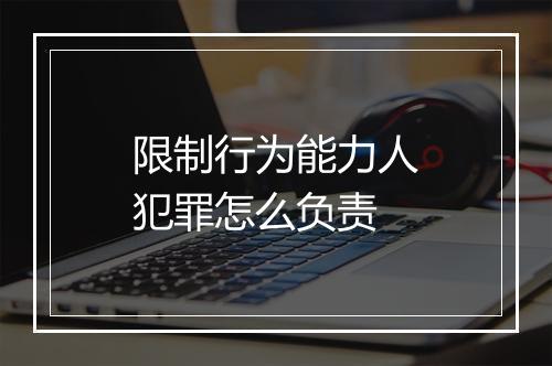 限制行为能力人犯罪怎么负责
