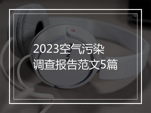 2023空气污染调查报告范文5篇