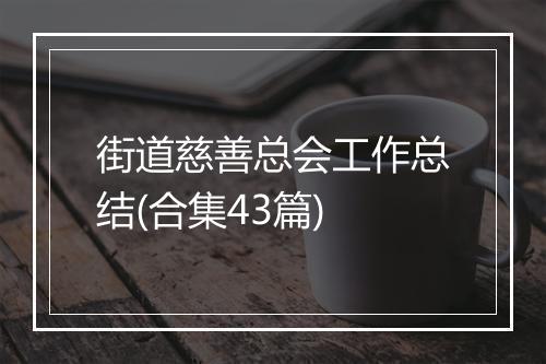 街道慈善总会工作总结(合集43篇)