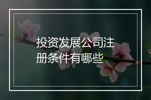 投资发展公司注册条件有哪些