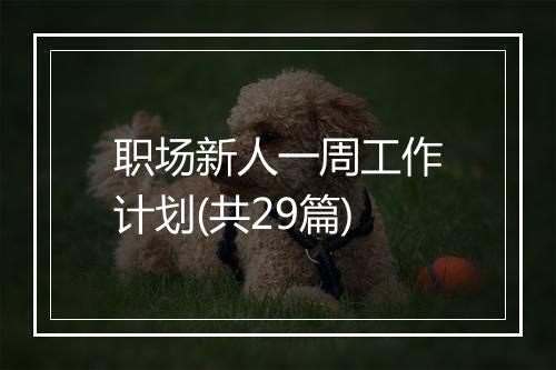 职场新人一周工作计划(共29篇)