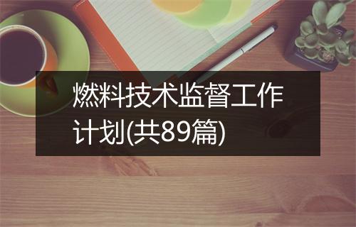 燃料技术监督工作计划(共89篇)
