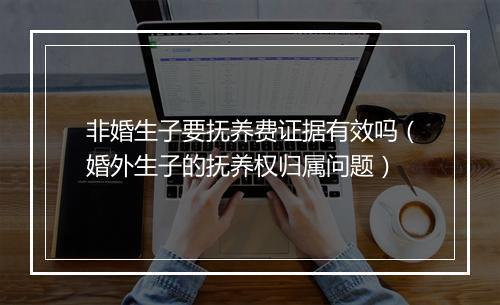 非婚生子要抚养费证据有效吗（婚外生子的抚养权归属问题）