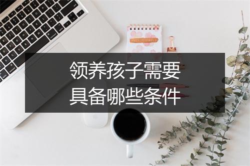 领养孩子需要具备哪些条件