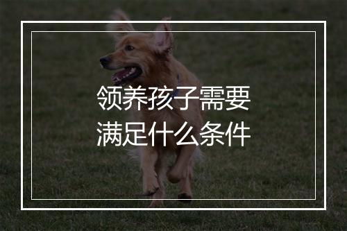 领养孩子需要满足什么条件