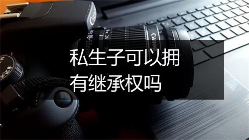 私生子可以拥有继承权吗