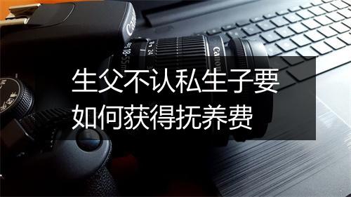 生父不认私生子要如何获得抚养费