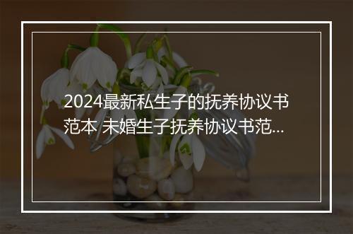 2024最新私生子的抚养协议书范本 未婚生子抚养协议书范文