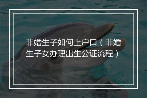 非婚生子如何上户口（非婚生子女办理出生公证流程）