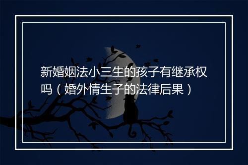 新婚姻法小三生的孩子有继承权吗（婚外情生子的法律后果）