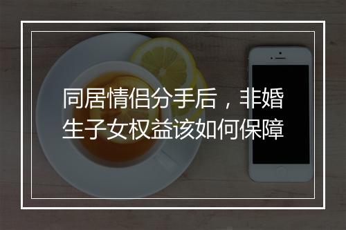 同居情侣分手后，非婚生子女权益该如何保障