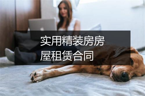 实用精装房房屋租赁合同