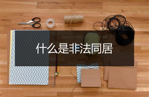什么是非法同居