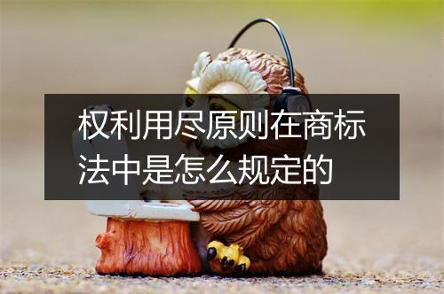 权利用尽原则在商标法中是怎么规定的