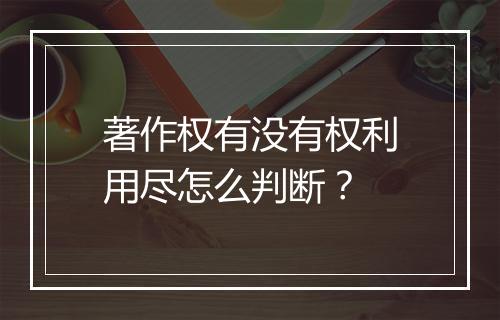 著作权有没有权利用尽怎么判断？