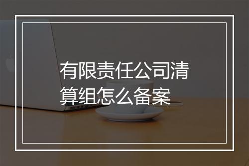 有限责任公司清算组怎么备案