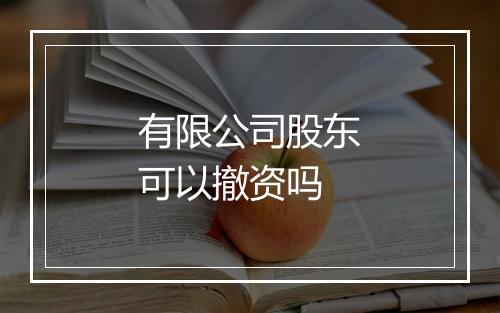 有限公司股东可以撤资吗