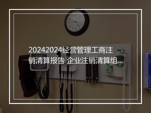 20242024经营管理工商注销清算报告 企业注销清算组清算报告