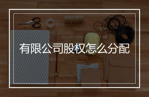 有限公司股权怎么分配