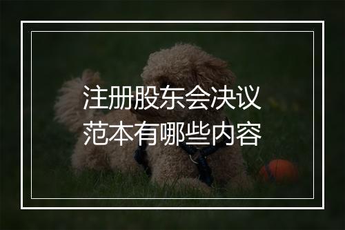 注册股东会决议范本有哪些内容