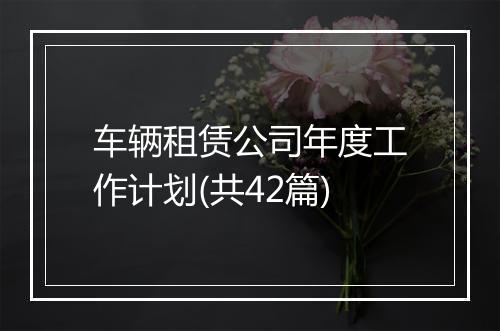 车辆租赁公司年度工作计划(共42篇)