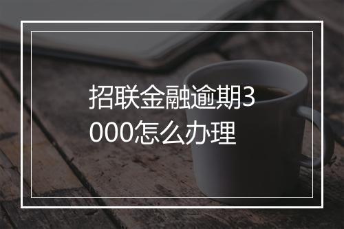 招联金融逾期3000怎么办理