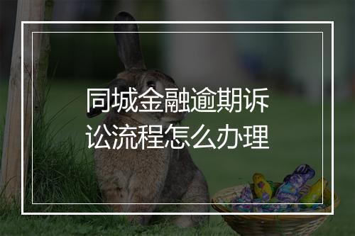 同城金融逾期诉讼流程怎么办理