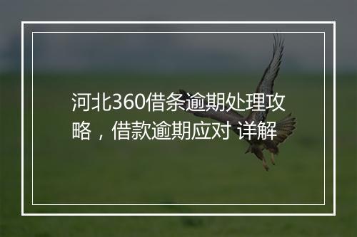 河北360借条逾期处理攻略，借款逾期应对 详解