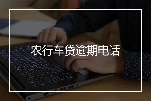 农行车贷逾期电话