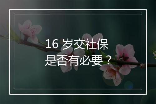 16 岁交社保是否有必要？