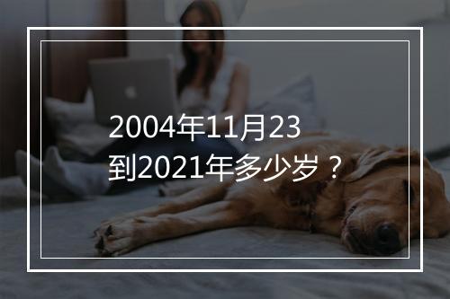 2004年11月23到2021年多少岁？