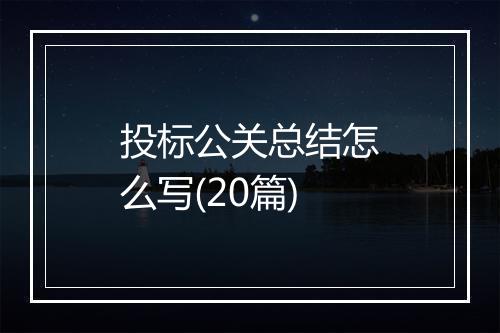 投标公关总结怎么写(20篇)
