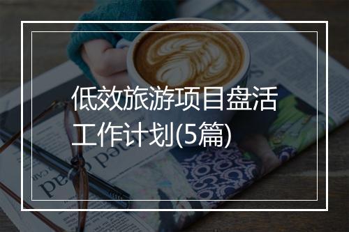 低效旅游项目盘活工作计划(5篇)
