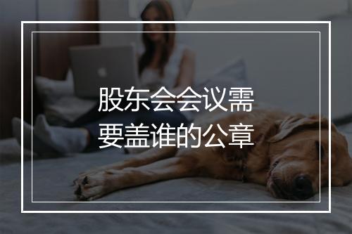 股东会会议需要盖谁的公章
