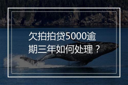 欠拍拍贷5000逾期三年如何处理？