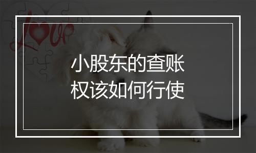 小股东的查账权该如何行使