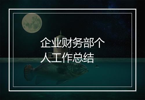 企业财务部个人工作总结