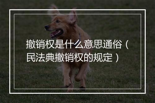 撤销权是什么意思通俗（民法典撤销权的规定）