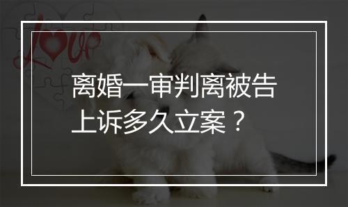 离婚一审判离被告上诉多久立案？
