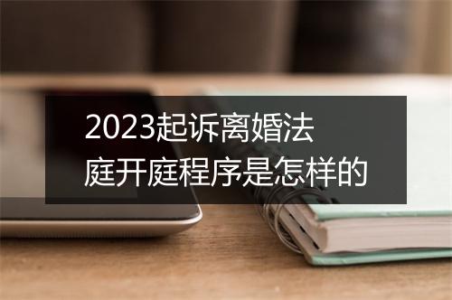 2023起诉离婚法庭开庭程序是怎样的
