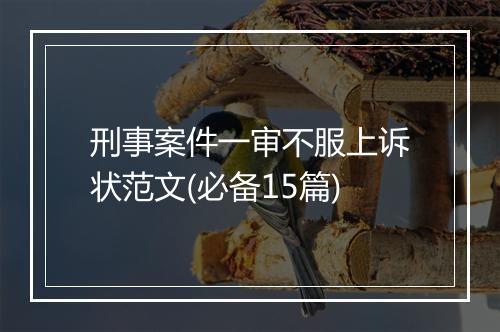 刑事案件一审不服上诉状范文(必备15篇)