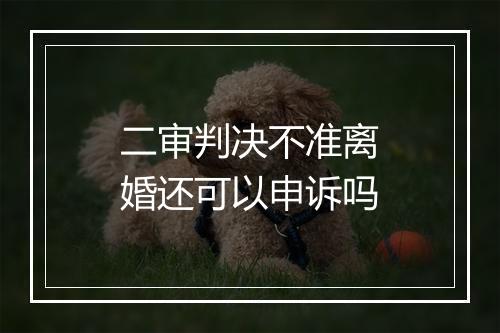 二审判决不准离婚还可以申诉吗