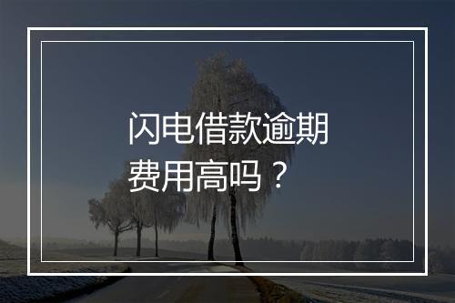 闪电借款逾期费用高吗？