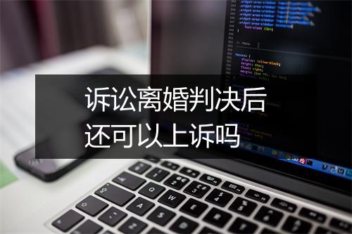 诉讼离婚判决后还可以上诉吗