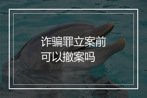 诈骗罪立案前可以撤案吗