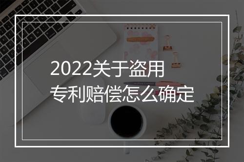 2022关于盗用专利赔偿怎么确定