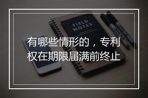 有哪些情形的，专利权在期限届满前终止
